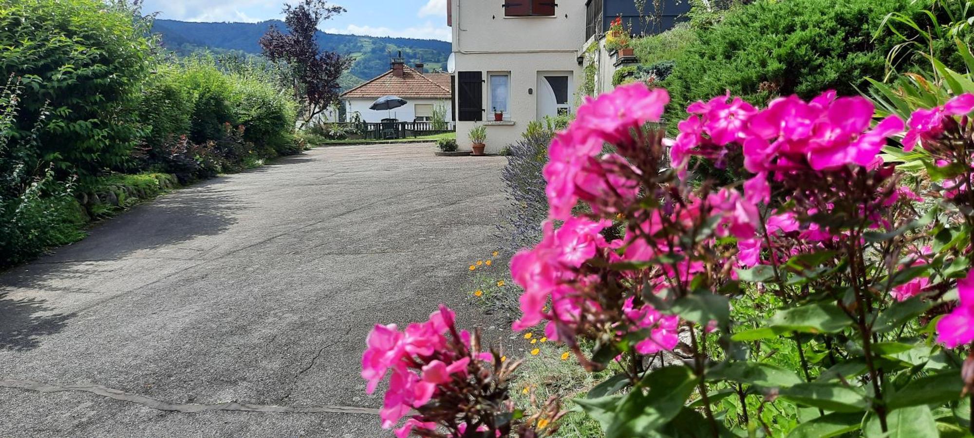 Plain-Pied Proche Base De Loisirs Et Voie Verte Saulxures-sur-Moselotte エクステリア 写真
